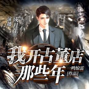 我开古董店那些年