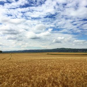 治愈心灵舒缓十大轻音乐钢琴曲古筝