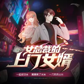 女总裁的上门女婿