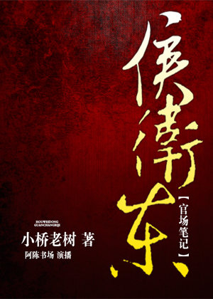 侯卫东官场笔记