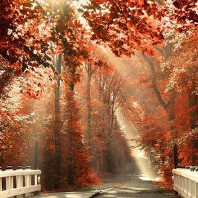 羊皮卷励志演讲