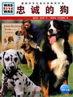 狗的忠诚