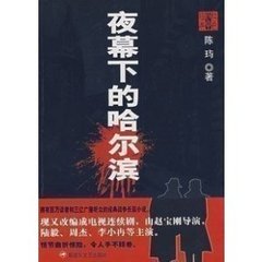 夜幕下的哈尔滨-王刚